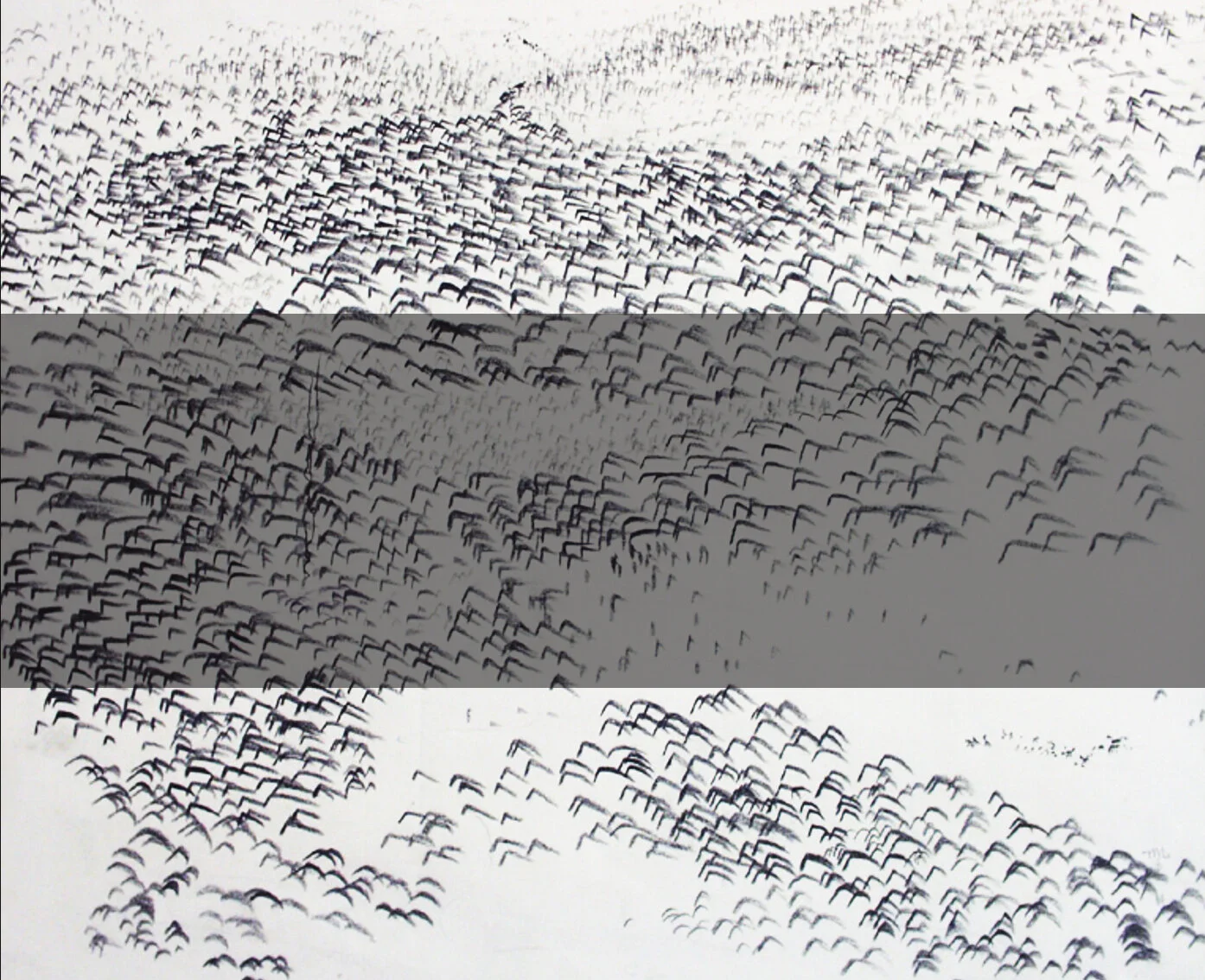 Mark to Field-1983-trans blk.jpg