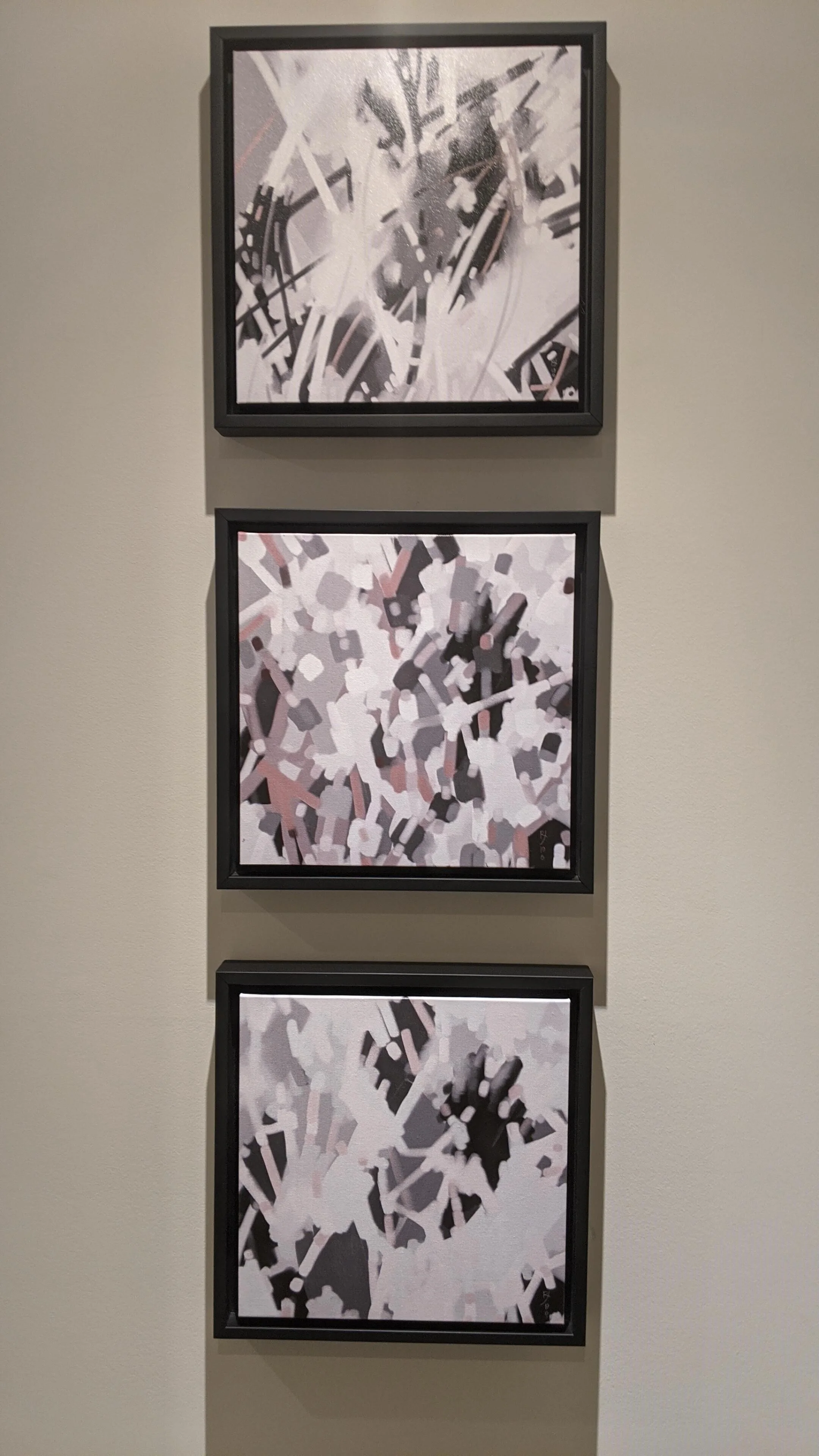 Series printed 12x12 in floater frames