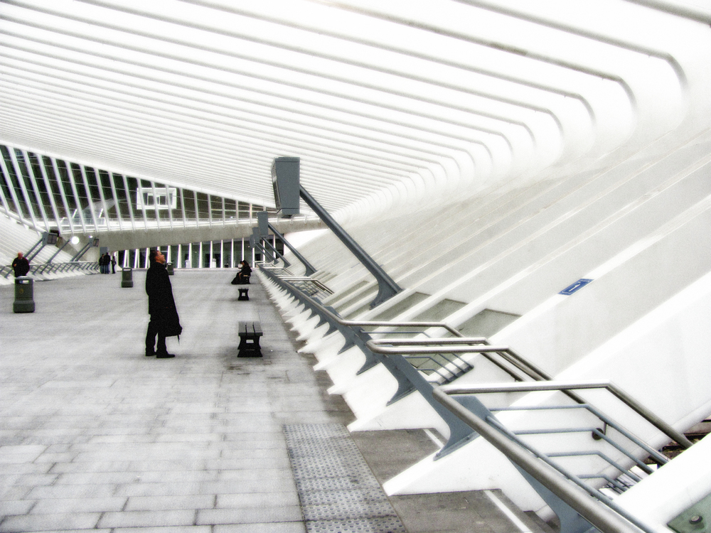  Platform Cross Over Gallery, Grand Hall, Liege, VHS 2010 