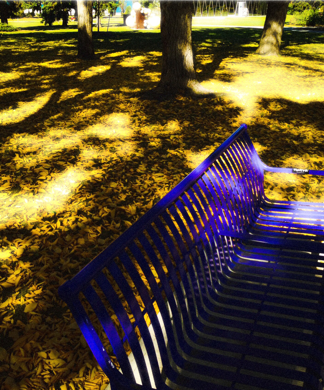 How Purple is Your Passion, Borden Park, Edmonton, Alberta, VHS 2014
