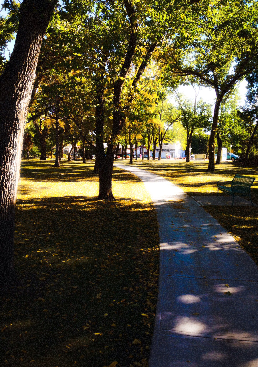  The Not Straight Path, Borden Park, Edmonton, Alberta, VHS 2014 