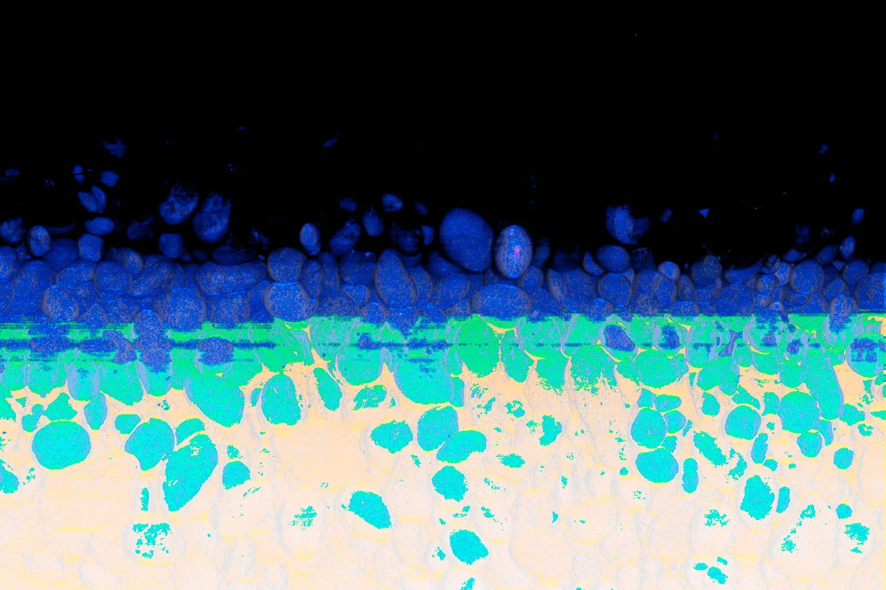 LVB03183.jpg