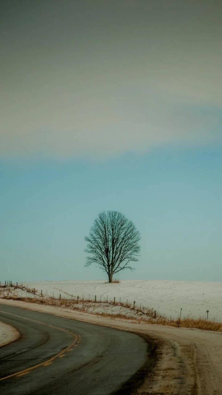 _1010566.jpg