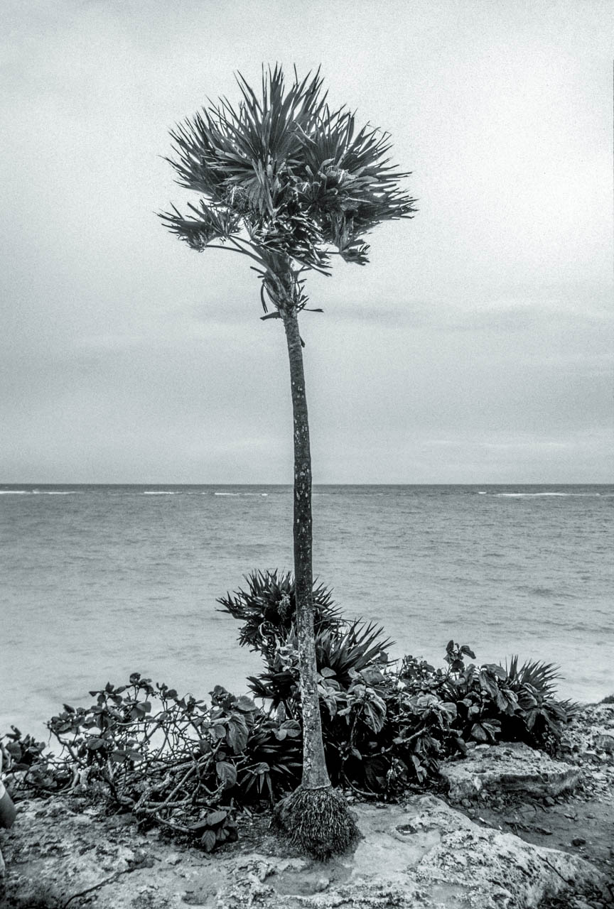 LVB00007-Edit.jpg