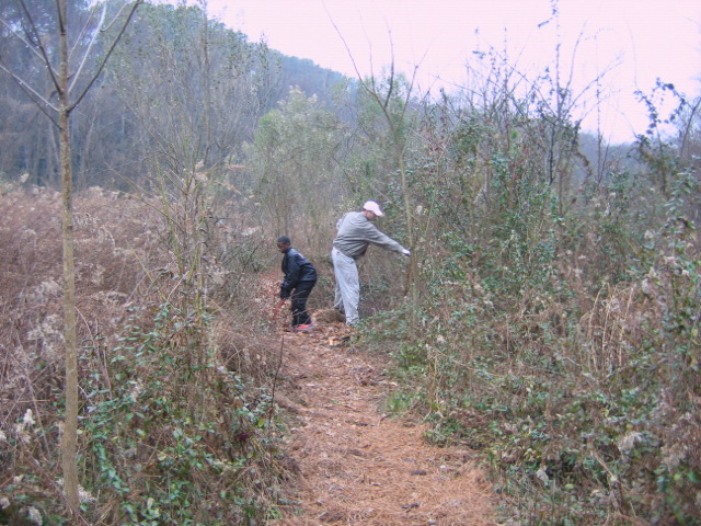 January 2010: Trail clearing begins