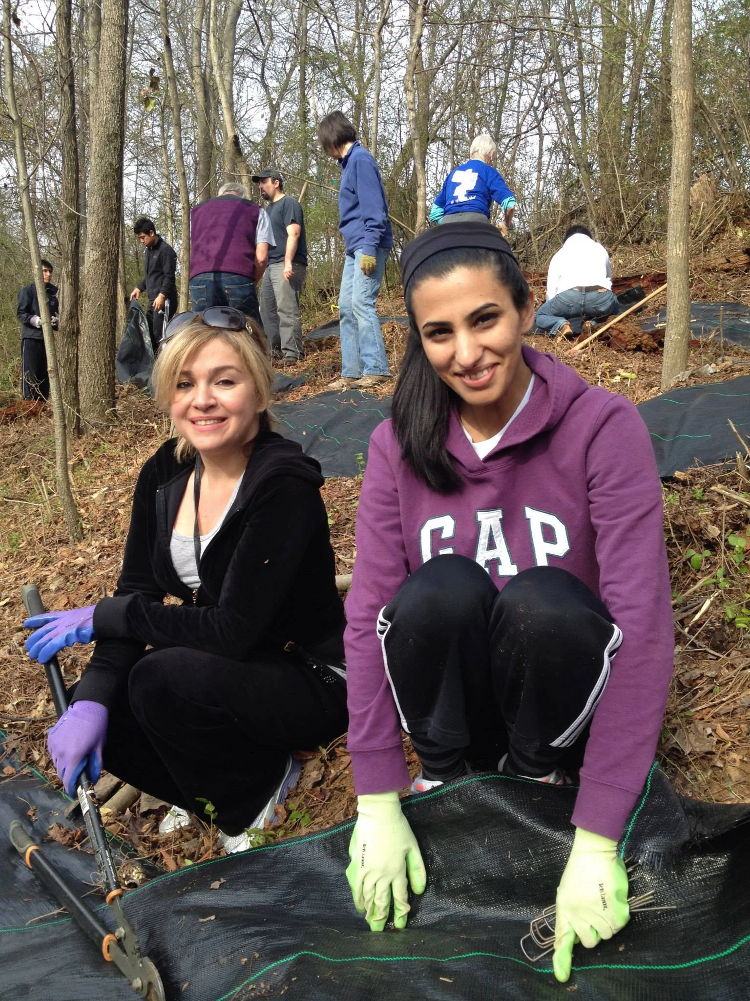 Planting Chestnuts in November 2013