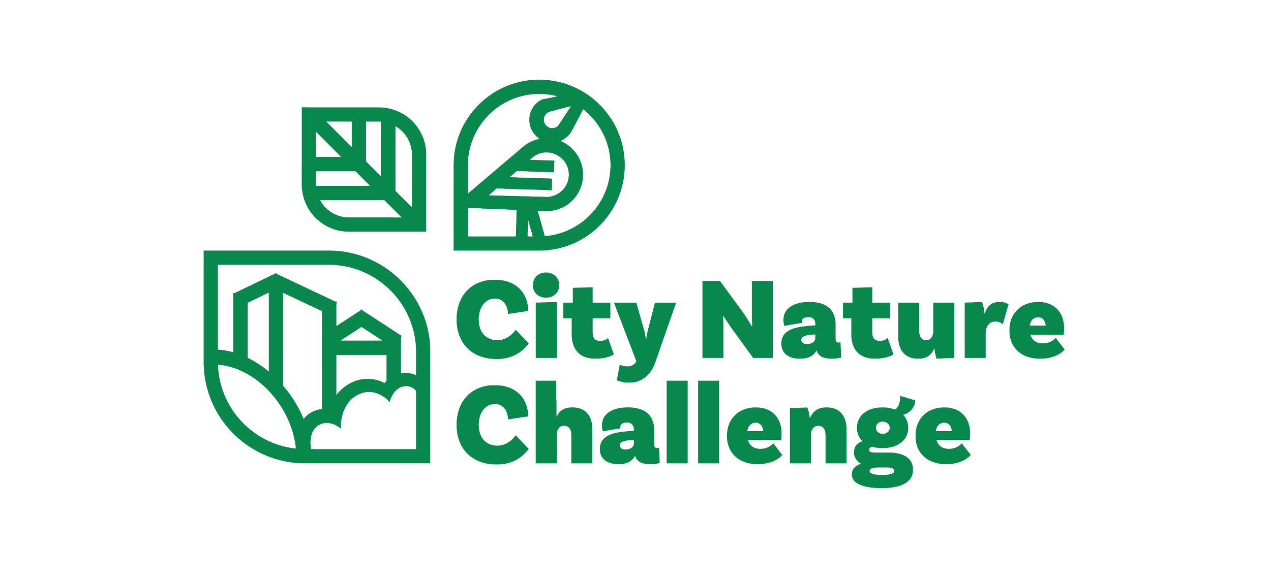 City Nature Challenge