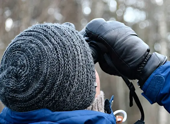 DeKalb County Naturalist Programs: Bird Stroll