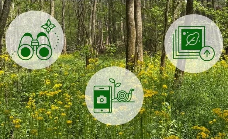 City Nature Challenge @ Melton Park