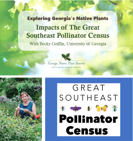 Exploring Georgia’s Native Plants: Impacts of the Great Southeast Pollinator Census