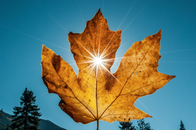 Fall Equinox Walk