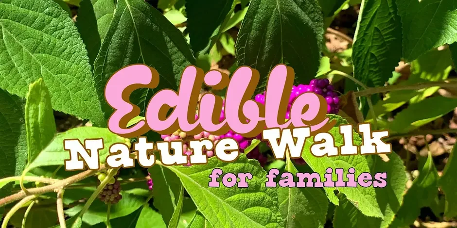 Edible Nature Walk for Families