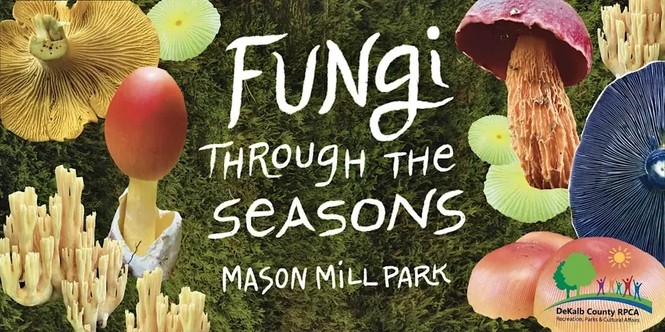 Fungi Though the Seasons: Fall