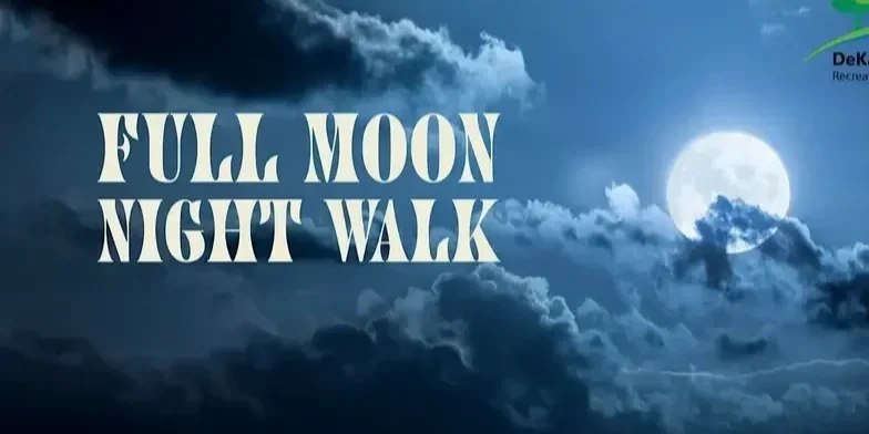 Full Moon Night Walk at Mason Mill Park