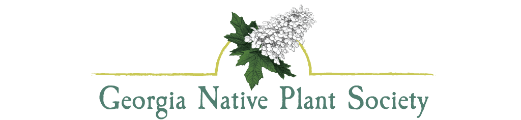 Logo for the Georgia Native Plant Society with name text below and illustration of an oak leak hydrangea under an arch.