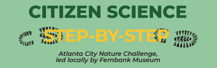 2026 City Nature Challenge