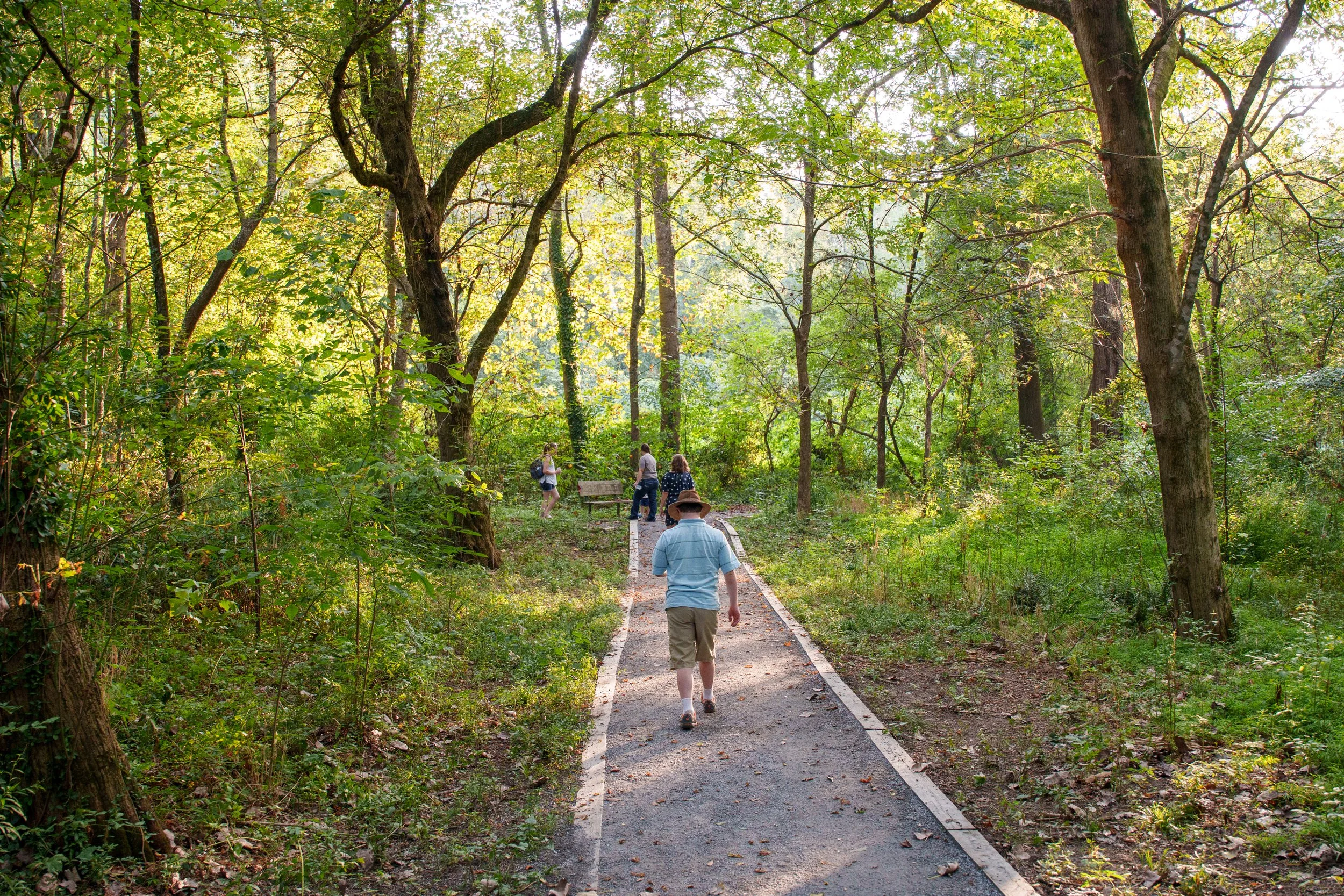 Reflections by the Creek- Walk and Nature Journaling Session