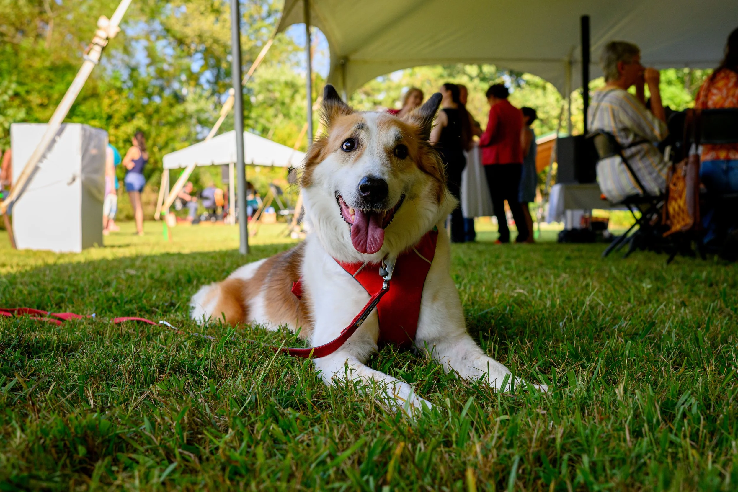 250918_JCA_SFC_CREEK_1051.jpg