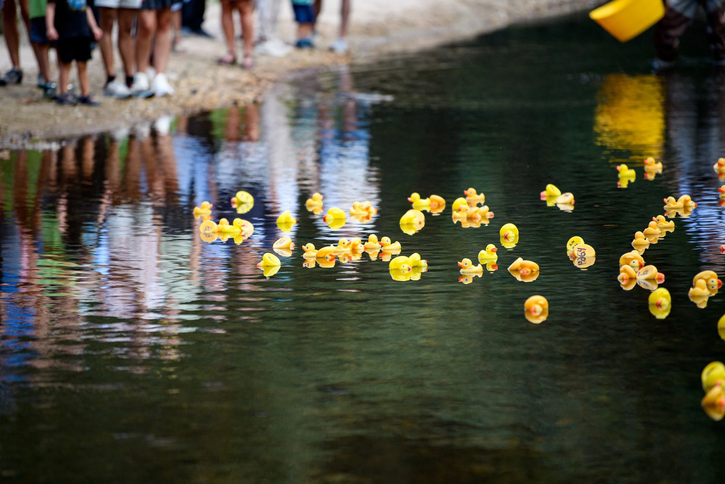 250918_JCA_SFC_CREEK_2413.jpg