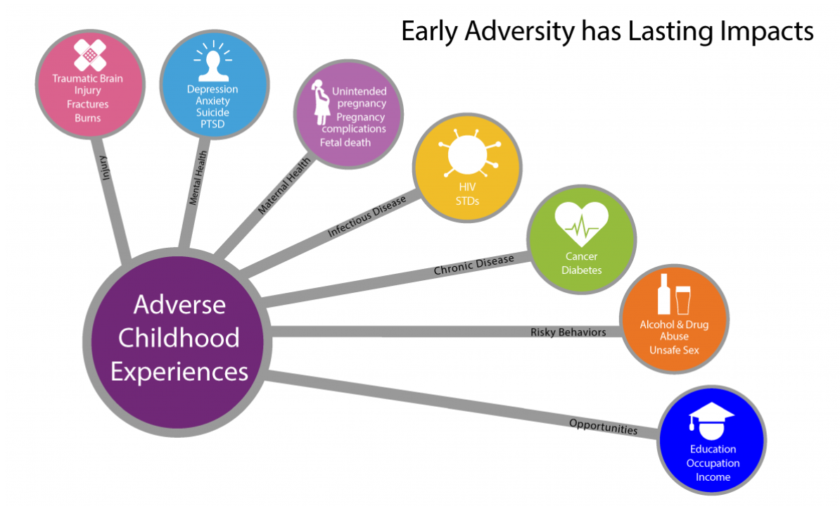 Source: National Center for Injury Prevention and Control, Division of Violence Prevention