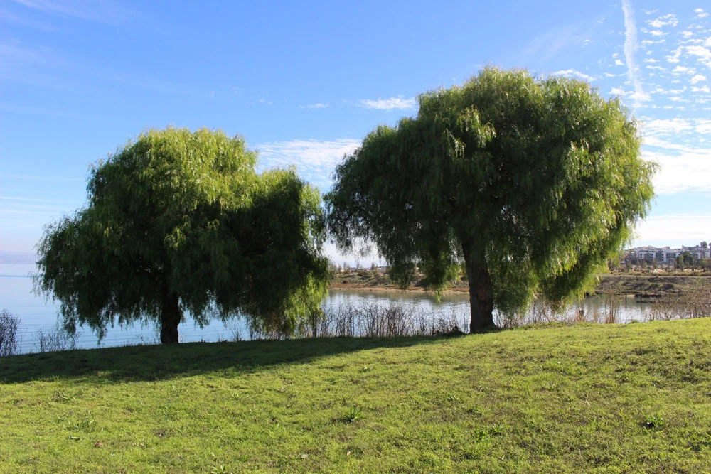 park 16.jpg