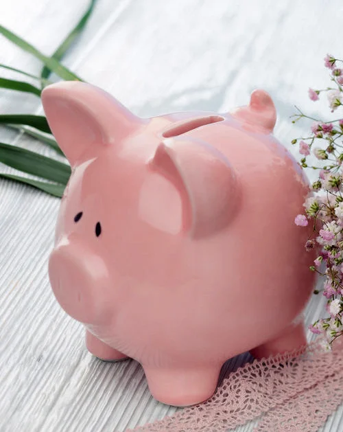 piggy bank C.jpg