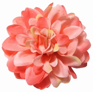 flower.jpg