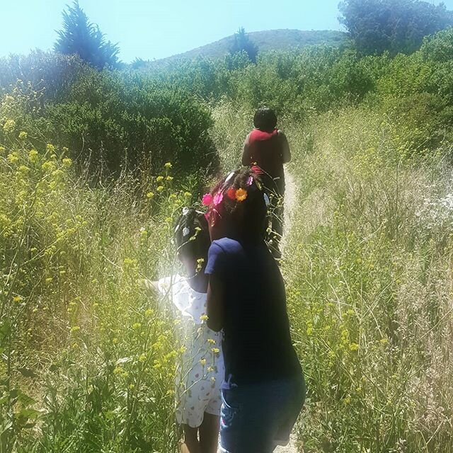 This was an impromptu hike. We clearly we not appropriately dressed to combat bugs or armed for mountain lions.