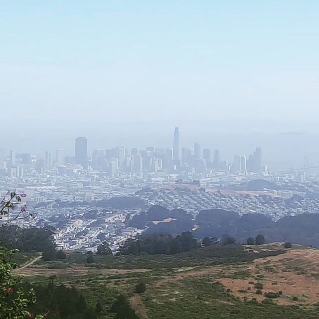 A beautiful day for a visit to San Bruno Mountain.