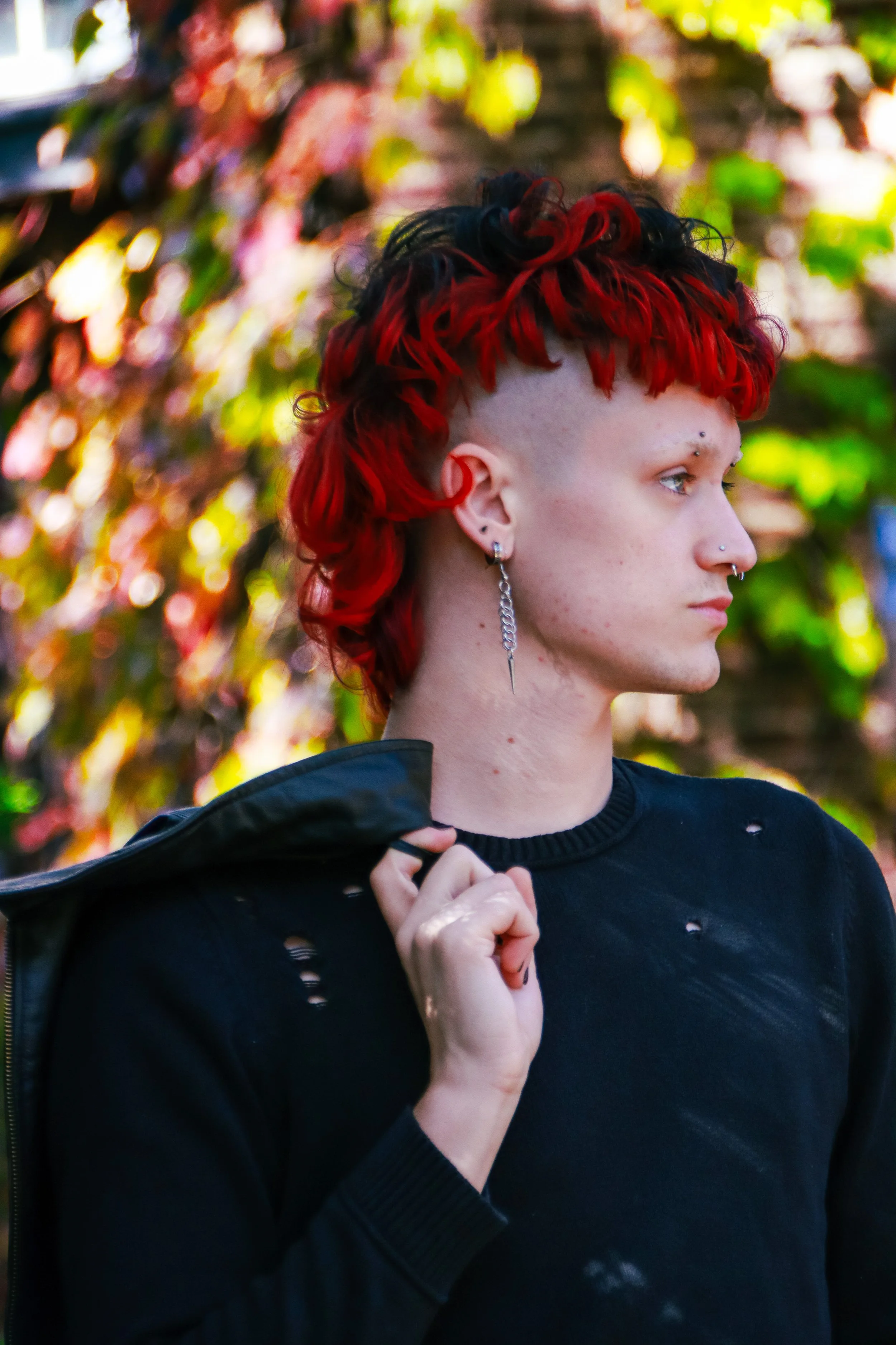 20241102-IMG_2192 copy.jpg