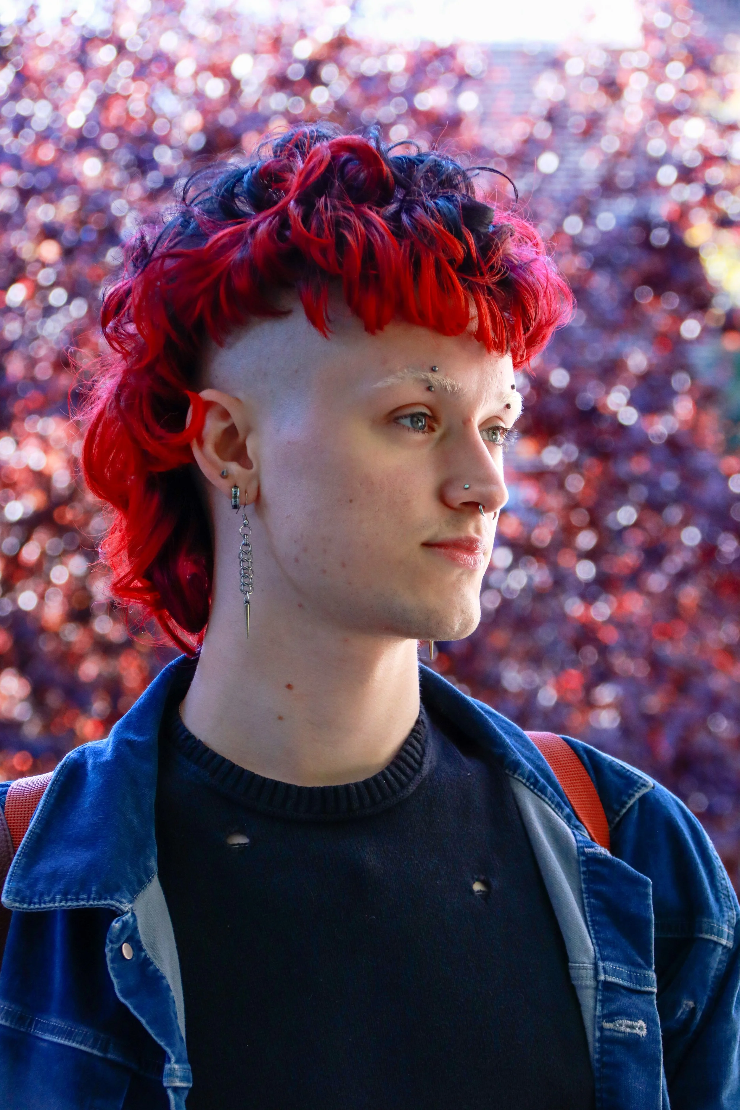 20241102-IMG_1897 copy.jpg