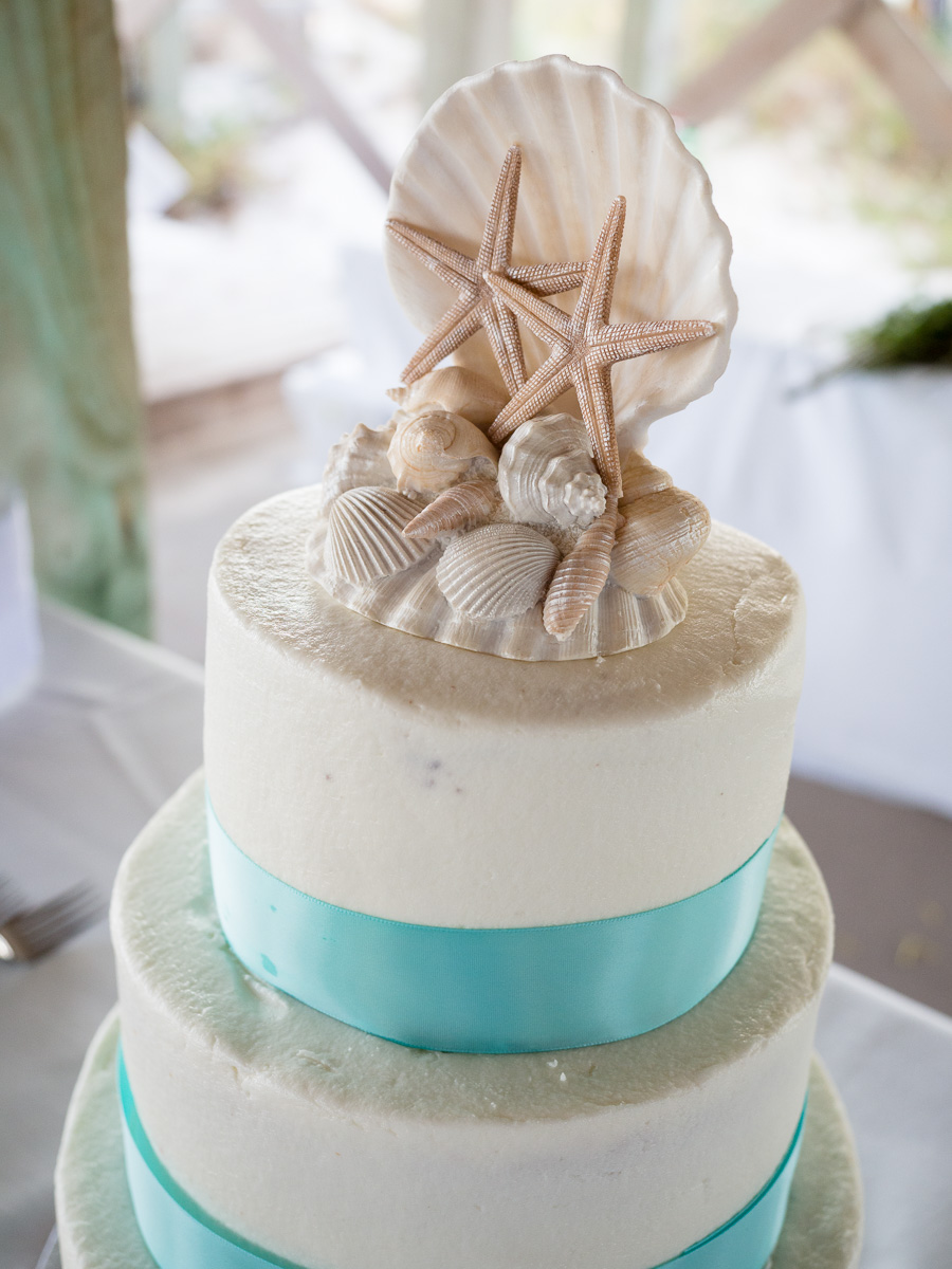 Gulf-Shores-Wedding-Cake-2015-3.jpg