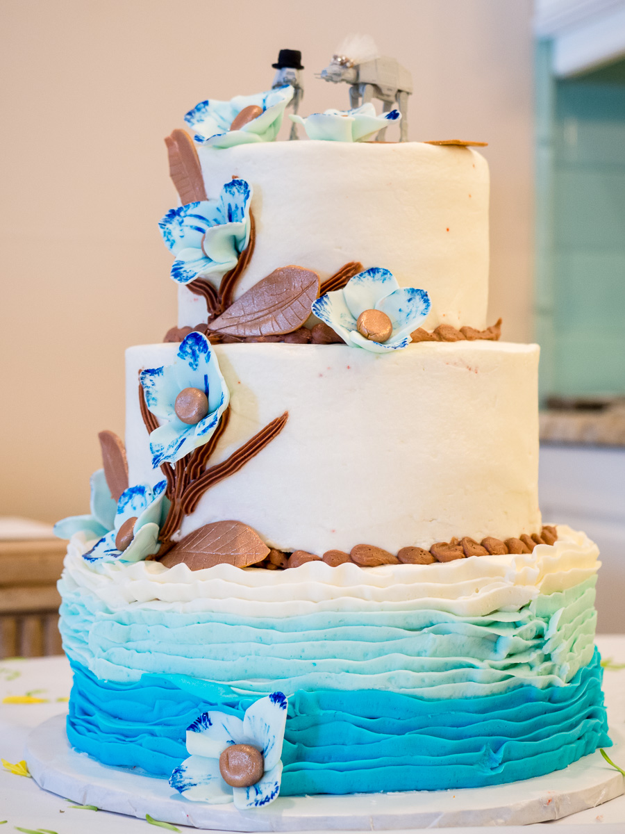 Gulf-Shores-Wedding-Cake-2015-322.jpg