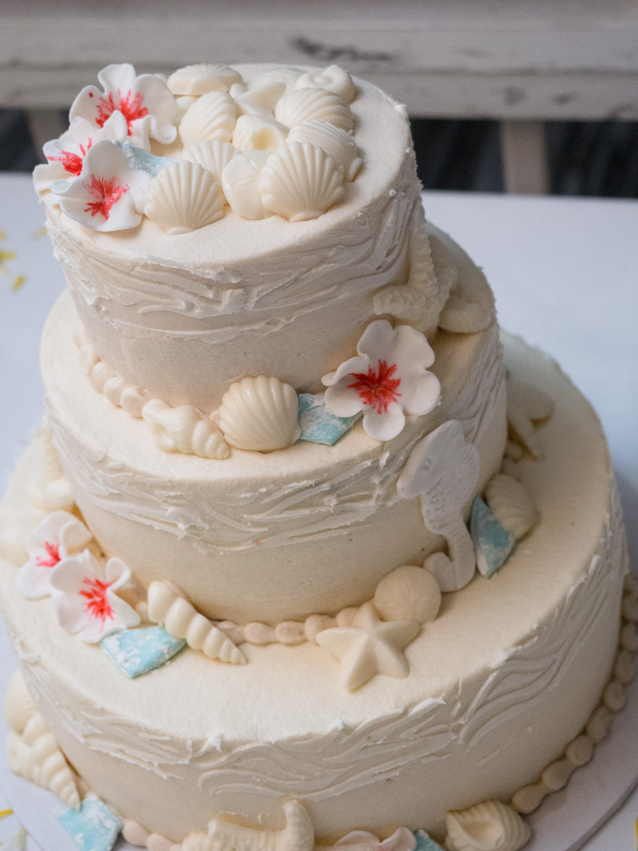Gulf-Shores-Wedding-Cake-2015-362.jpg