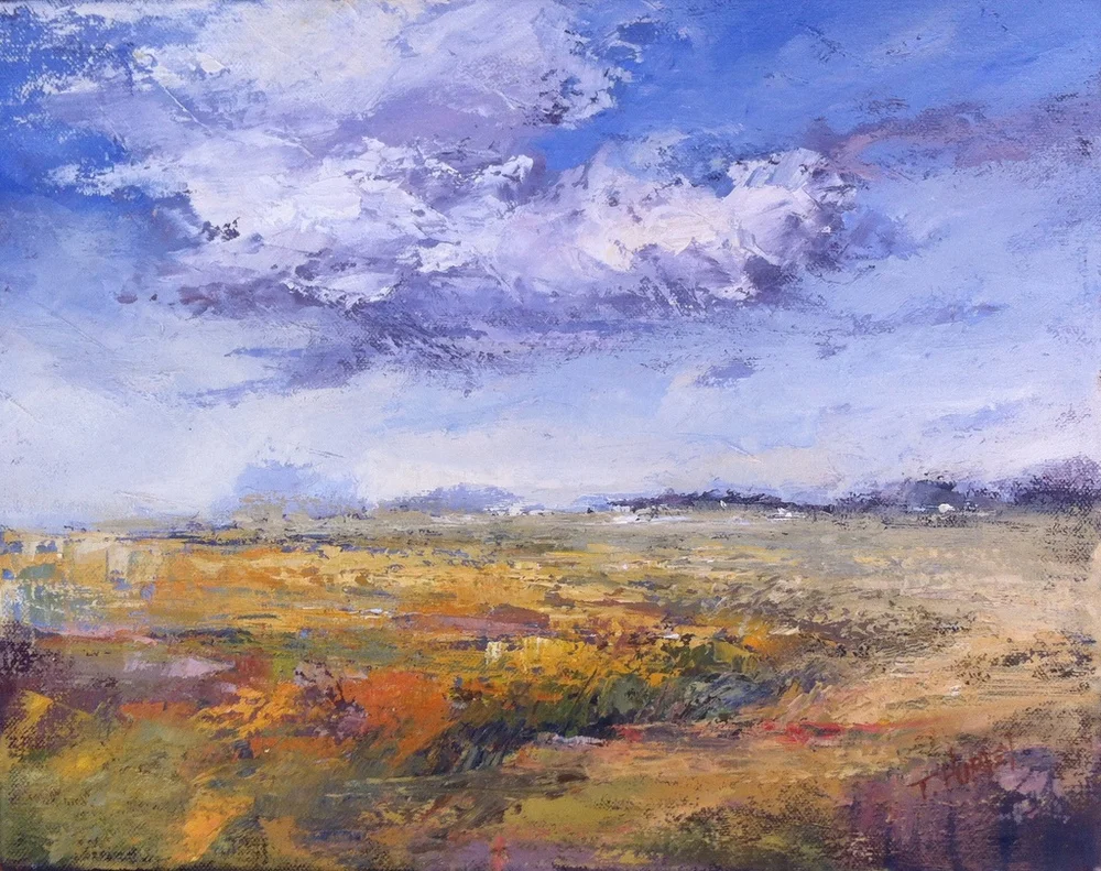 the plains,11x14,oil.jpeg