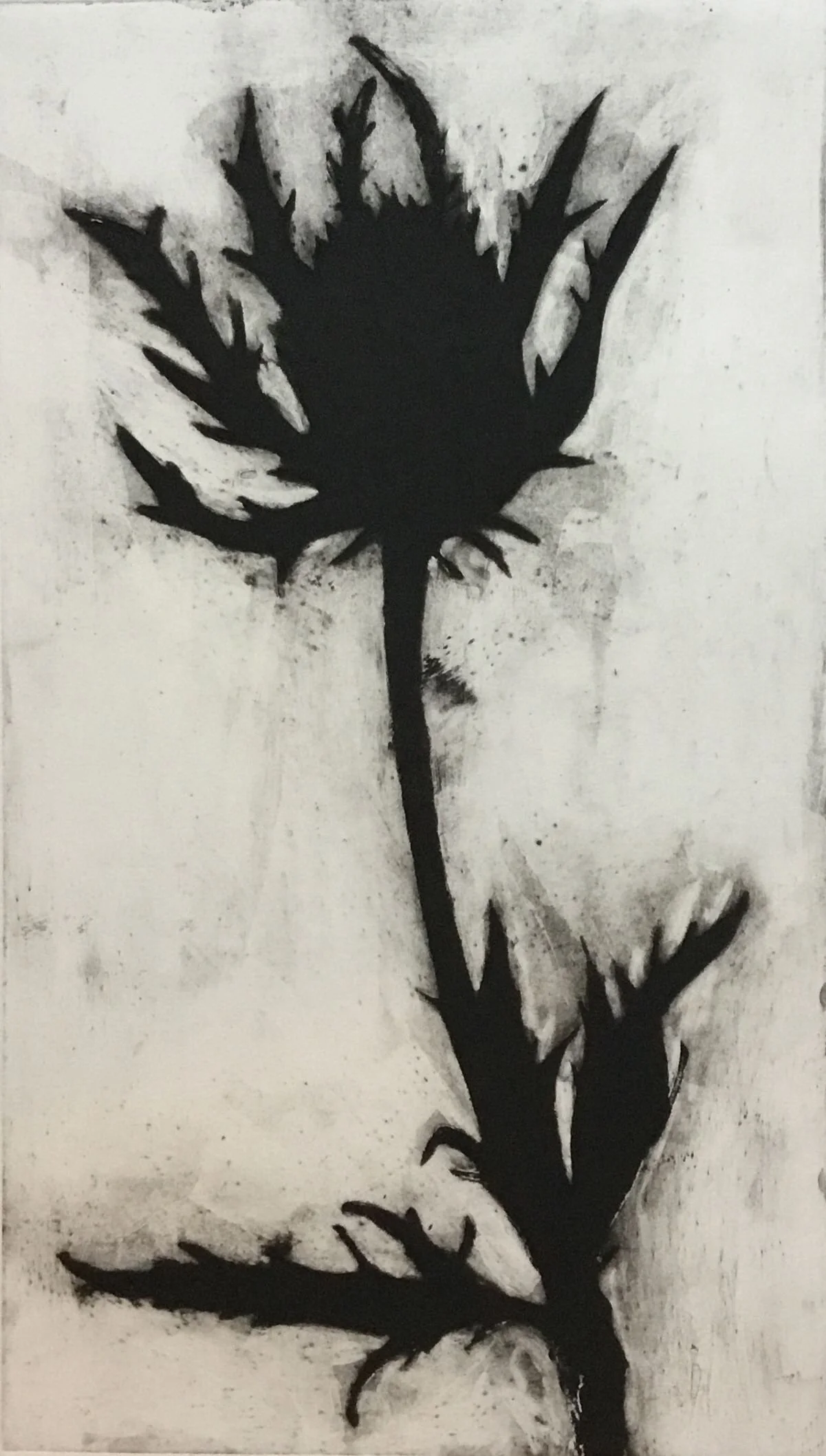 JUNE Carborundum Monoprint image 15.75x9 paper 22x15.5 440 .jpeg