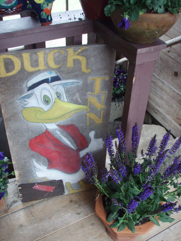 DuckInn.jpg