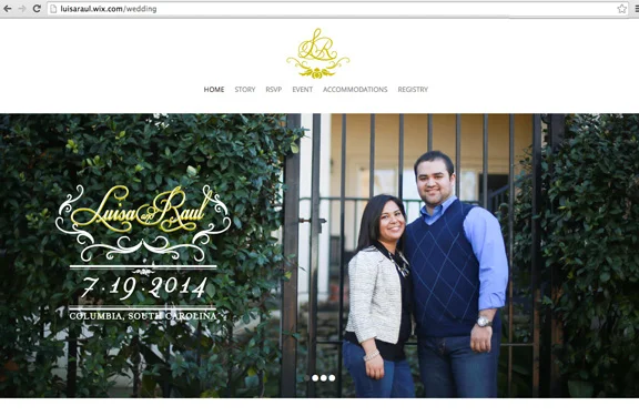 raul_luisa_website_homegig.jpg