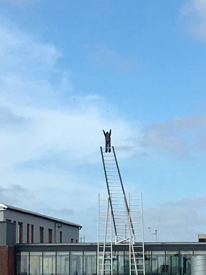 image1.jpeg