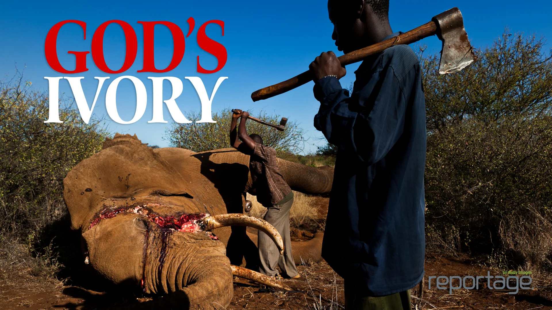 God's Ivory