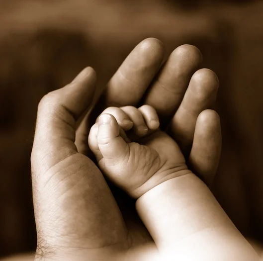 Baby Hands