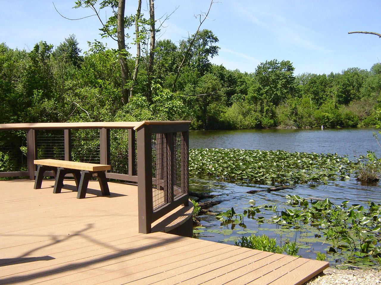 Camp Rosenthal Observation Platform + Pond