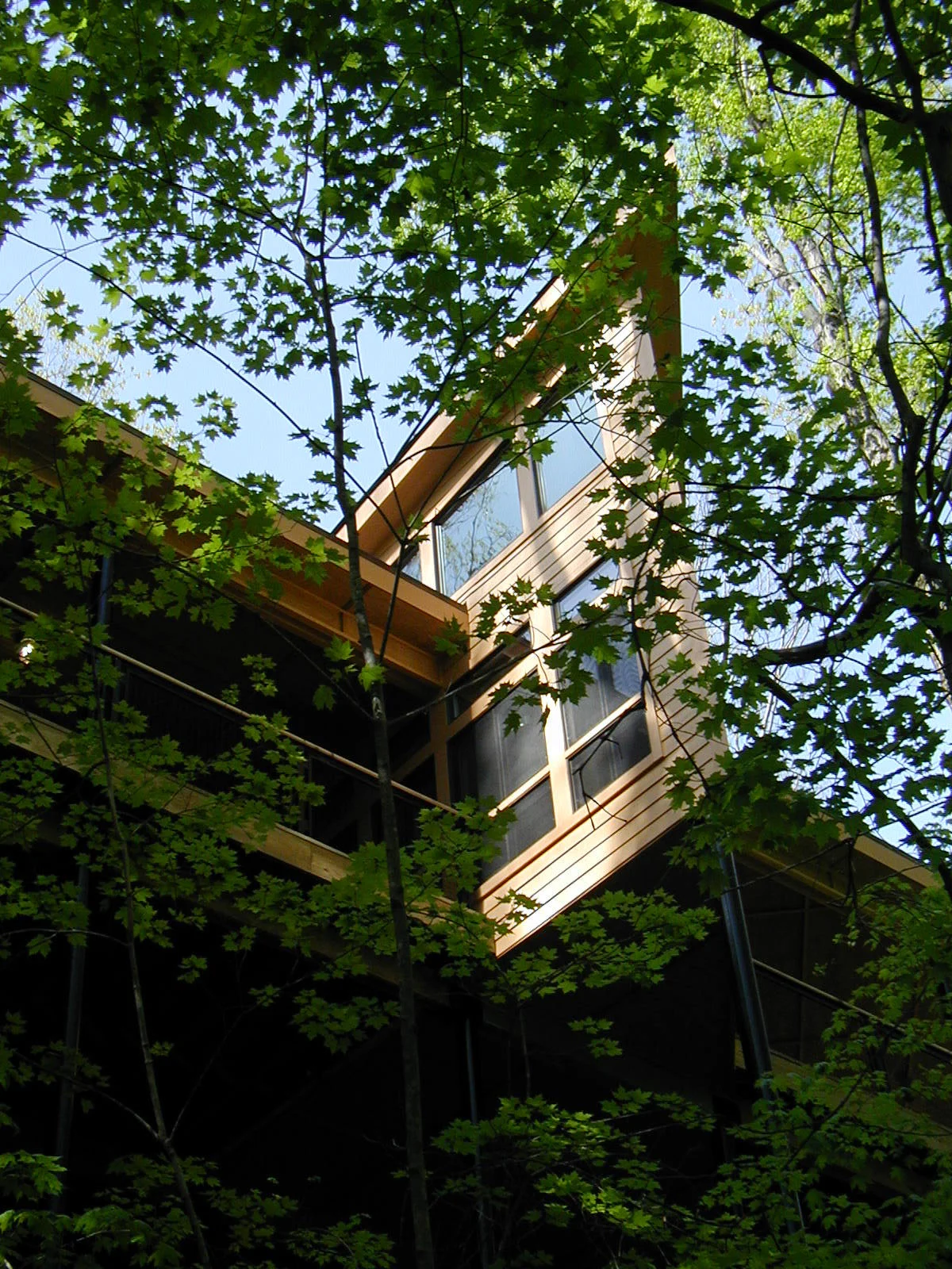 Tree House Complex - prow