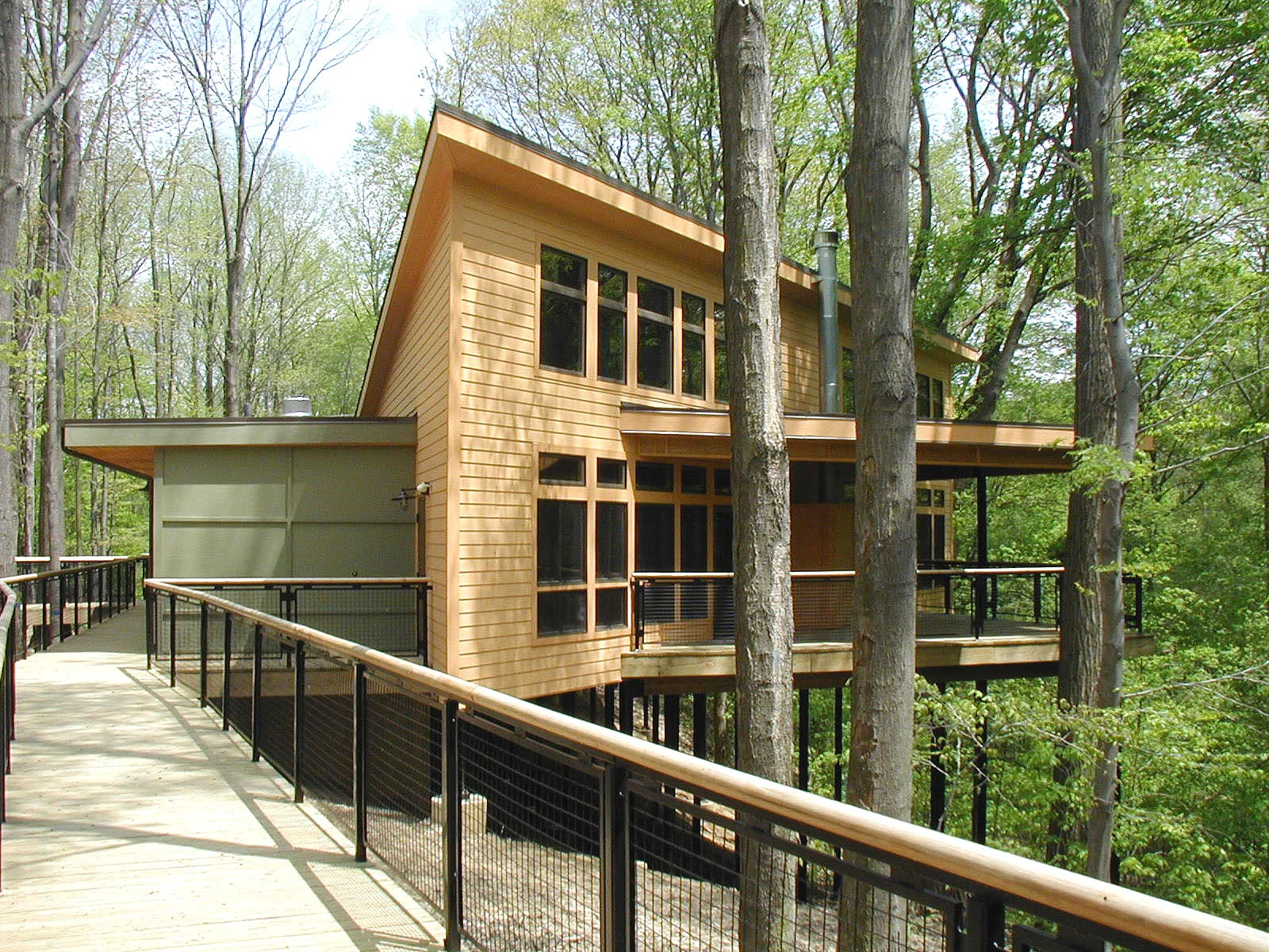 Tree House Complex - boardwalk + private porch
