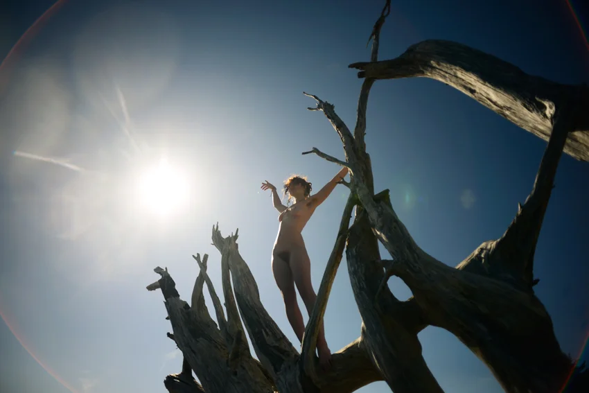 youstolethisphotofromcoristorb