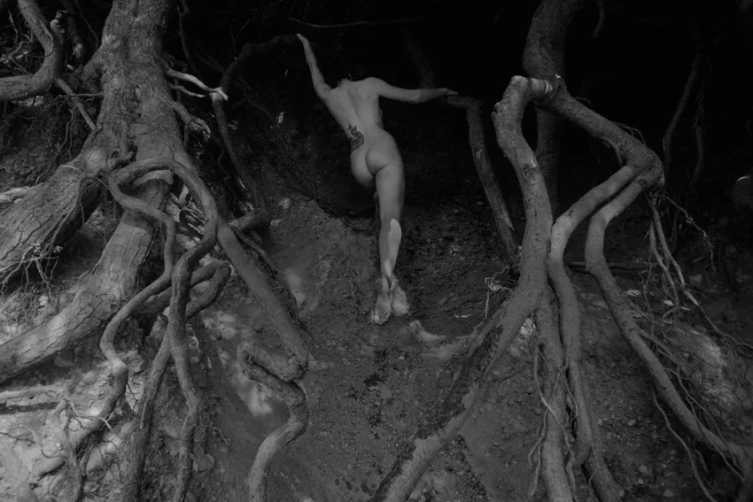 youstolethisfromcoristorb