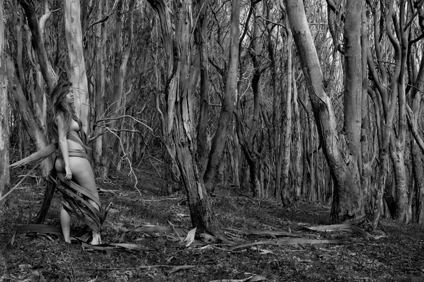 youstolethisfromcoristorb