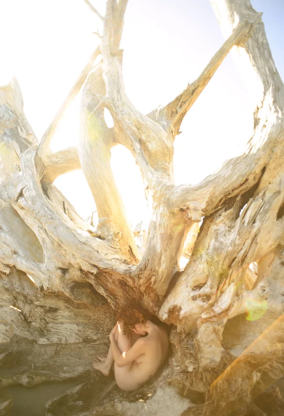 youstolethisfromcoristorb