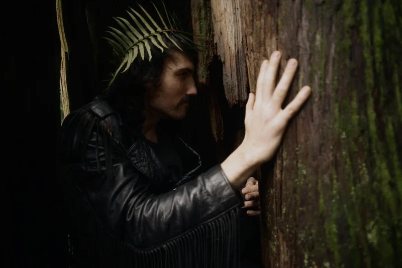 cori storb_forest king