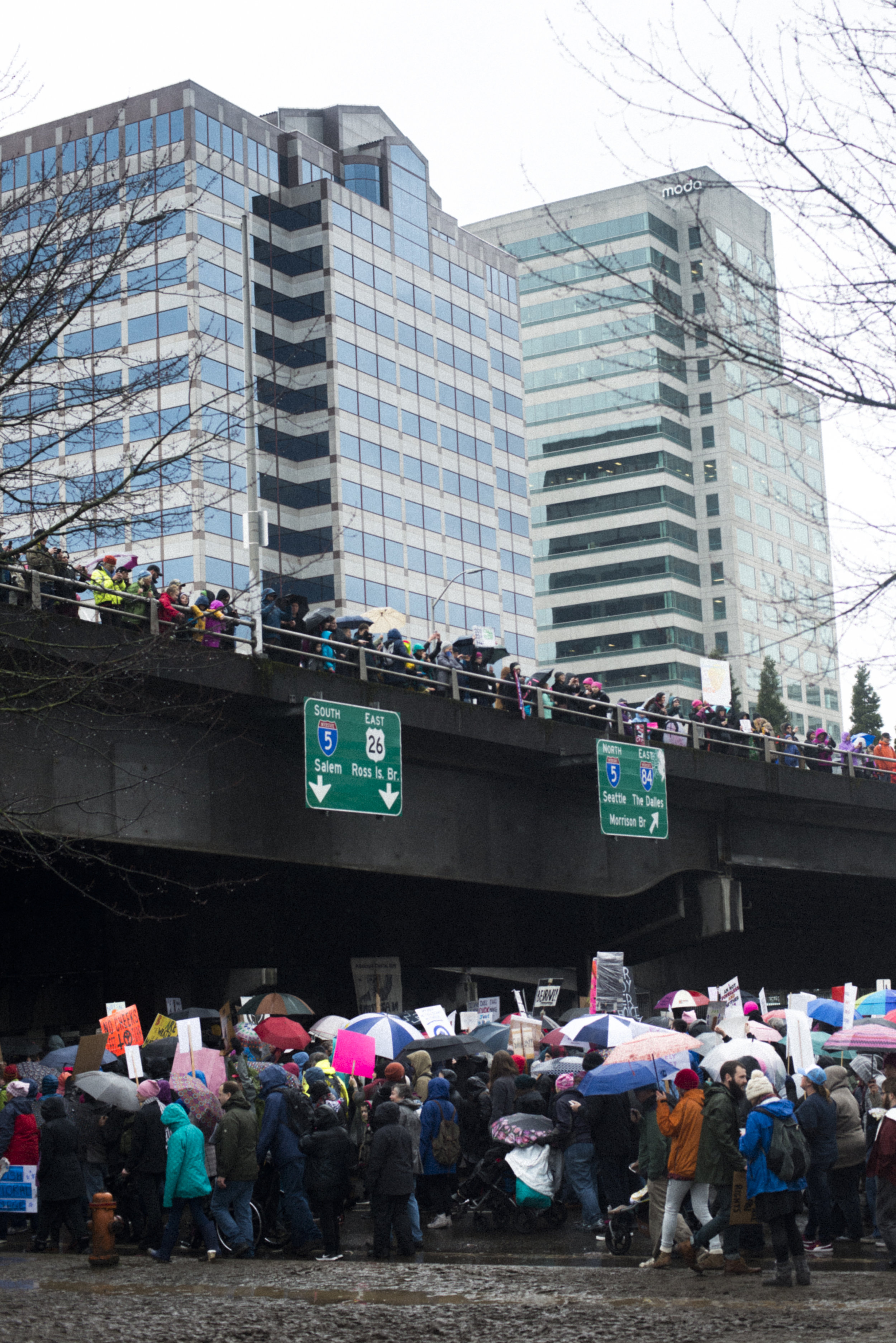 Women's March Portland-13.jpg